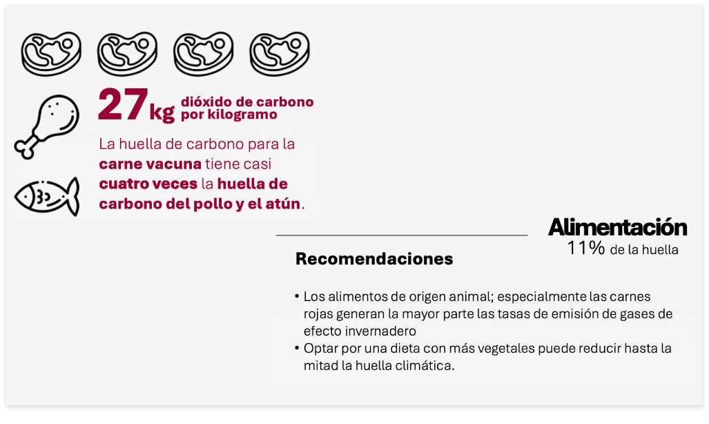 alimentaion